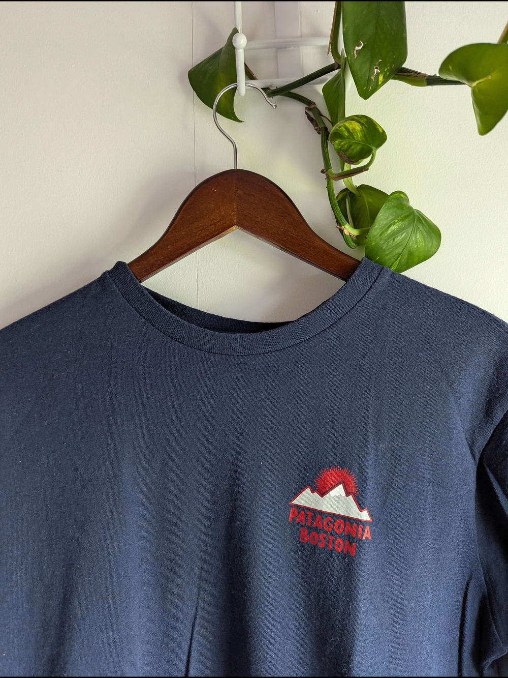 Patagonia Boston Navy Graphic Tee